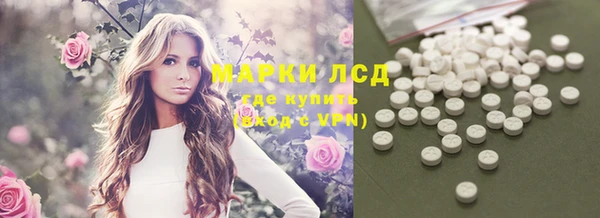 твердый Аркадак