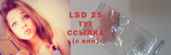 твердый Аркадак